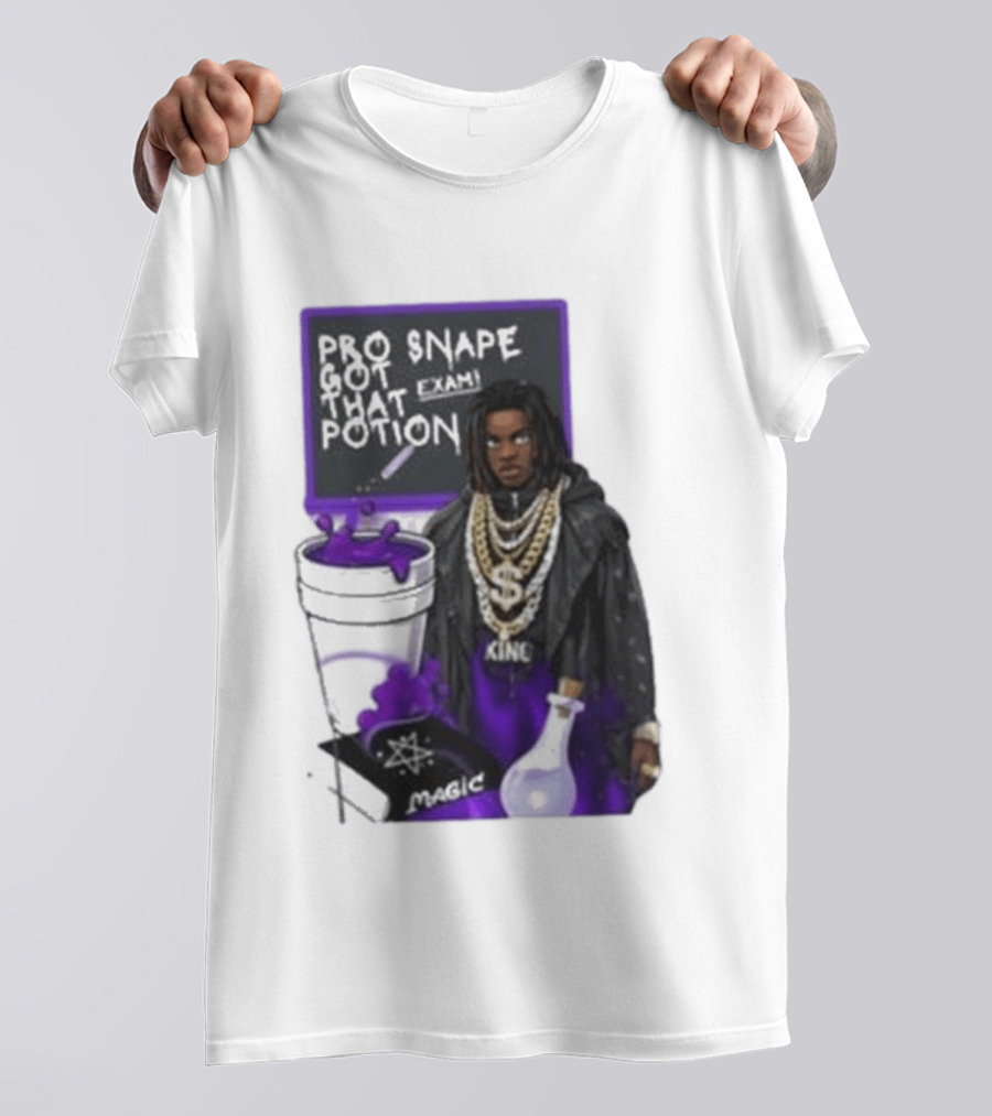 Pro Snape Got That Potion Magic Hip Hop Exam King T-Shirt