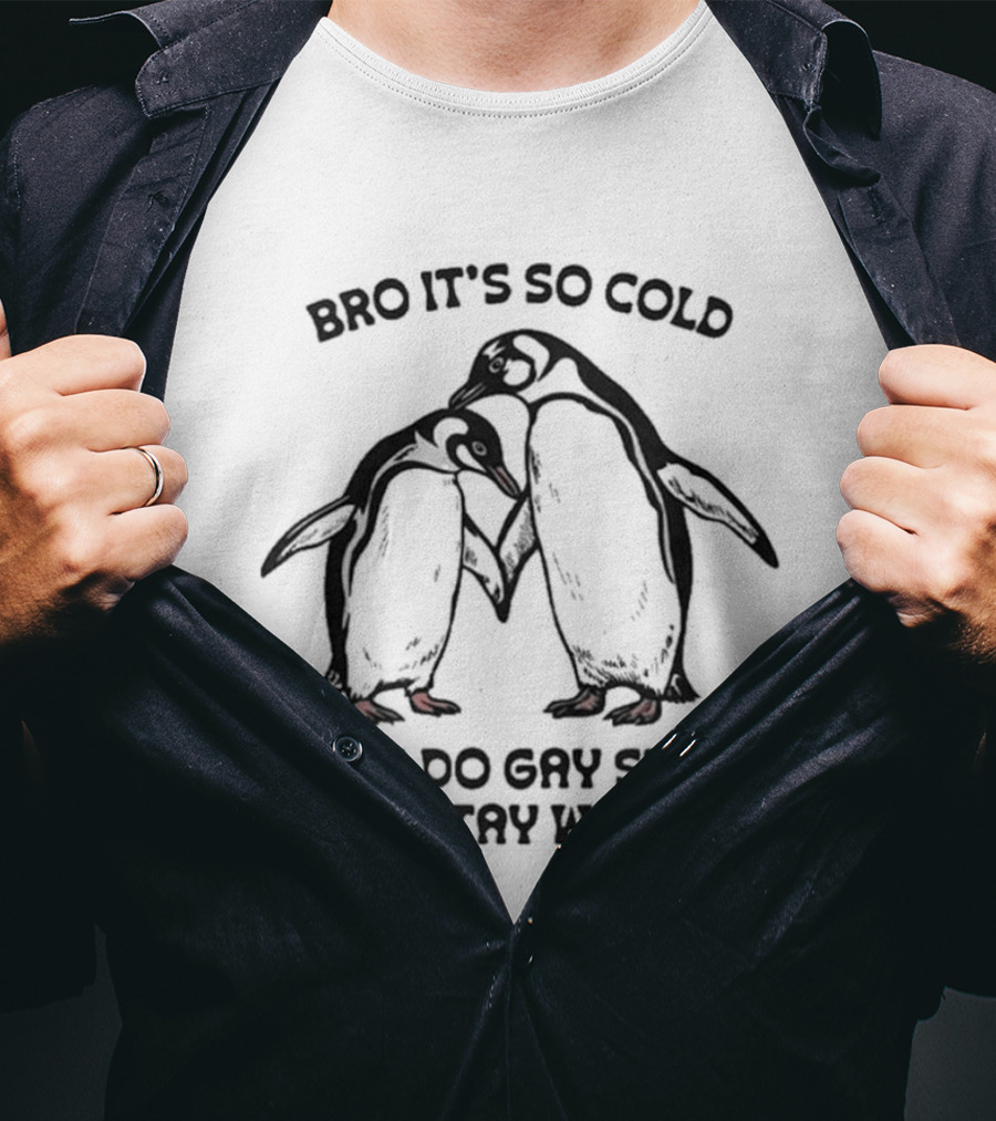 Bro It's So Cold Let's Do Gay Stuff To Stay Warm Penguins Hugging T-Shirt
