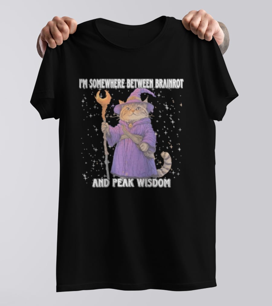 I'm Somewhere Between Brainrot And Peak Wisdom Cat Wizard T-Shirt