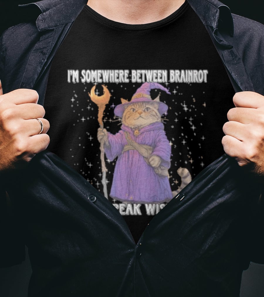 I'm Somewhere Between Brainrot And Peak Wisdom Cat Wizard T-Shirt