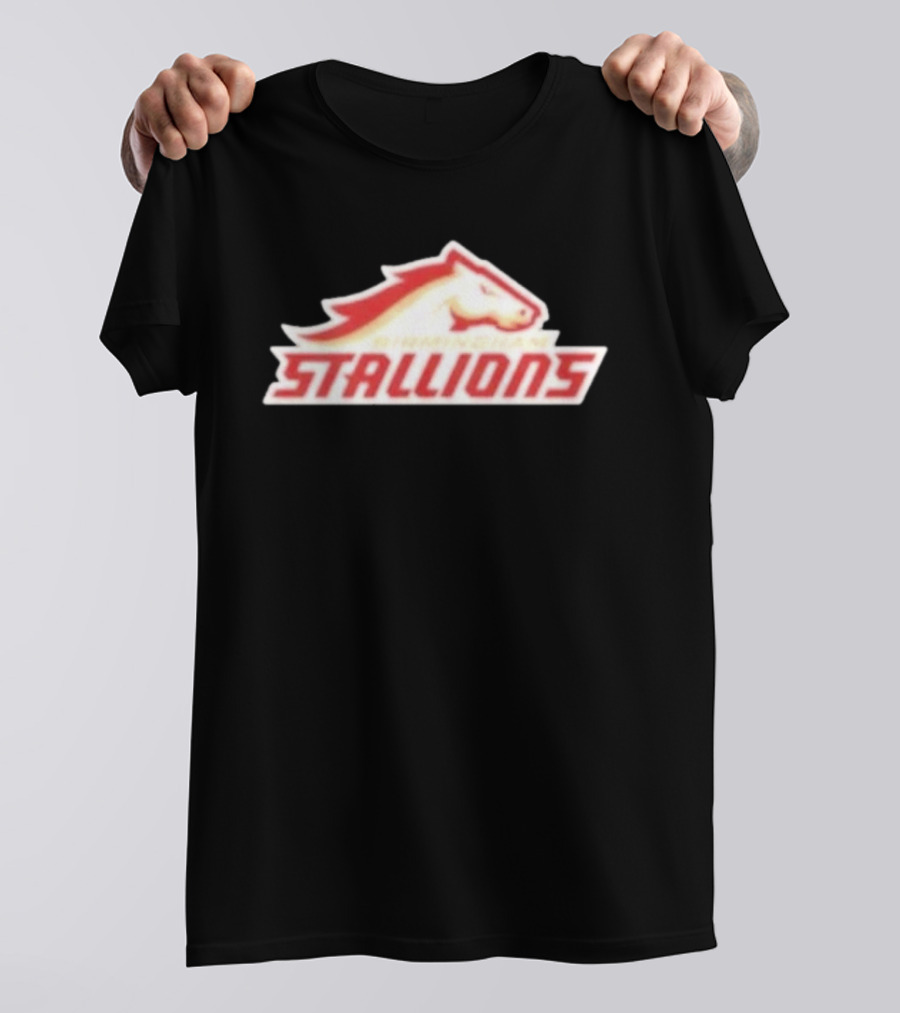 Mintzy Birmingham Stallions Team T-Shirt