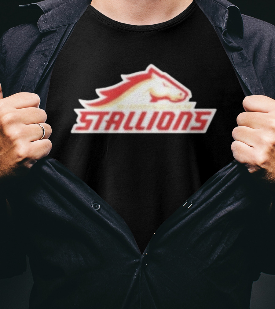 Mintzy Birmingham Stallions Team T-Shirt