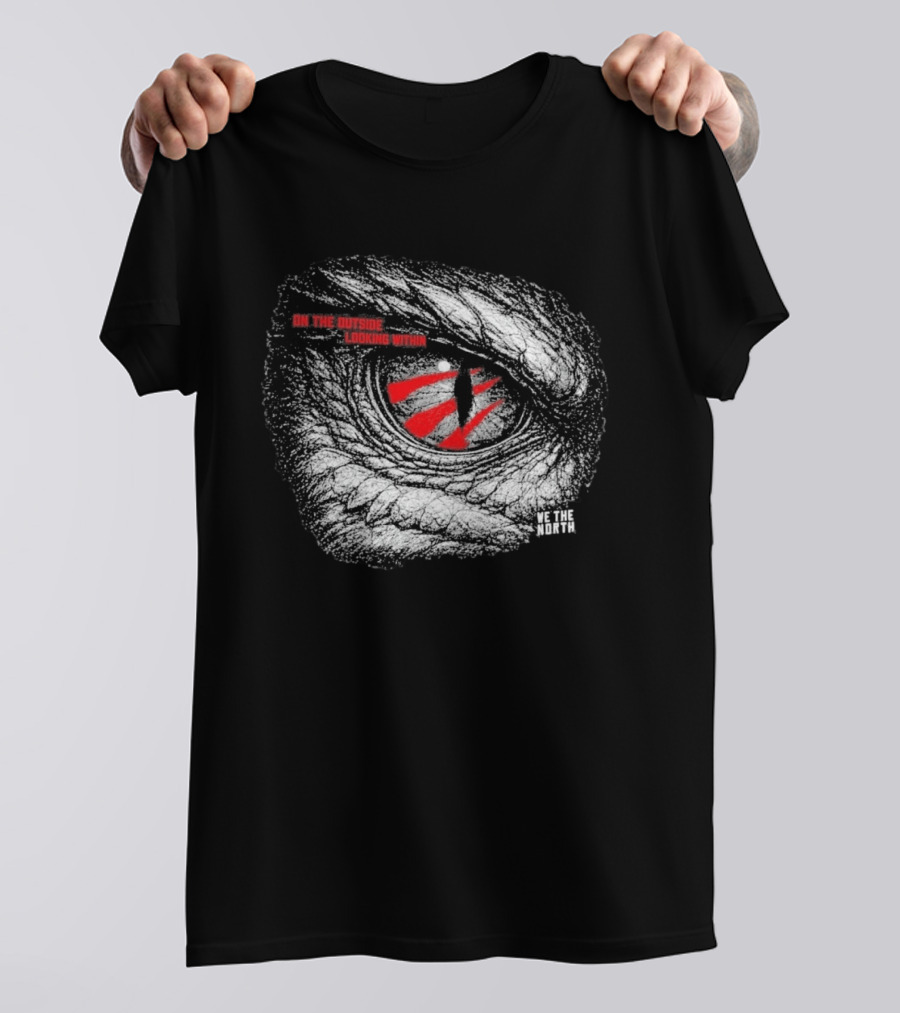 2026 Raptors Game 3 On The Outside Looking Within We The North T-Shirt