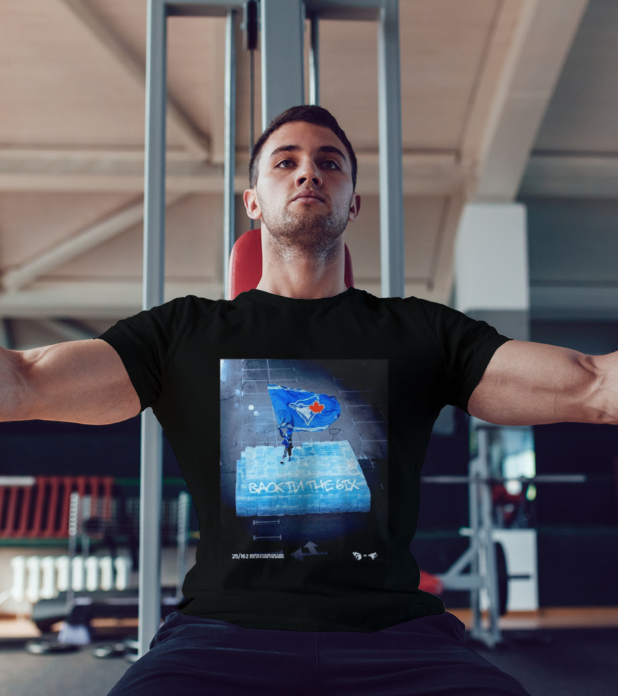 Toronto Blue Jays Back In The 6ix Ice Flag And Blocks T-Shirt