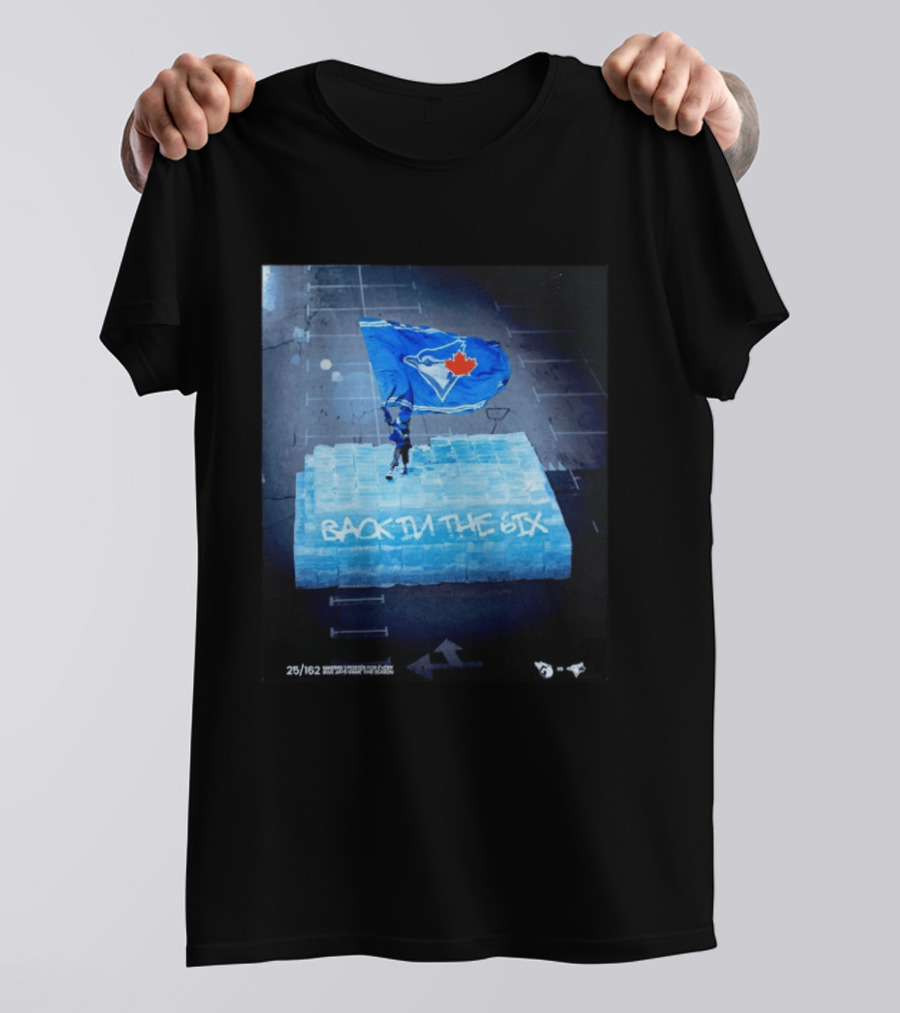 Toronto Blue Jays Back In The 6ix Ice Flag And Blocks T-Shirt