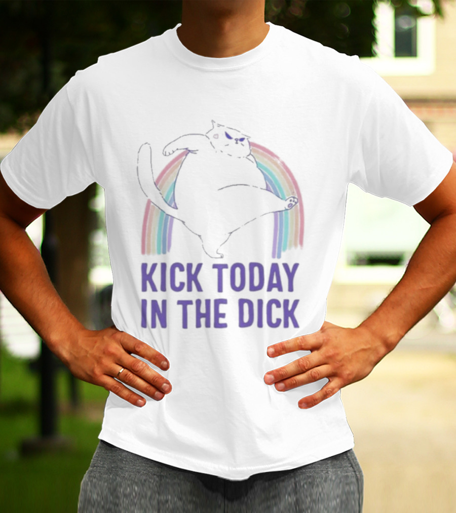Kick Today In The Dick Rainbow Cat T-Shirt