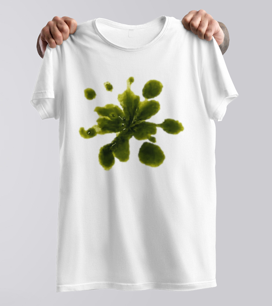 Weather Tomorrow May 4 2026 T-Shirt