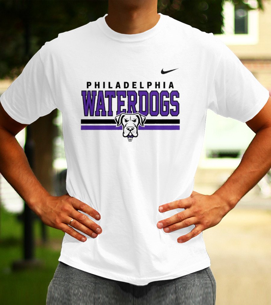 Philadelphia Waterdogs Nike Dri FIT Stripe Sportswear Collection T-Shirt