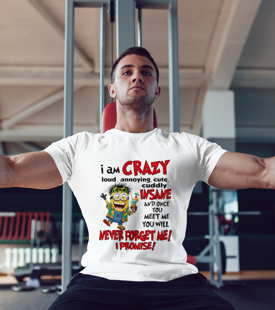 I Am Crazy Loud Annoying Cute Cuddly Insane Once You Meet Me Never Forget Promise T-Shirt