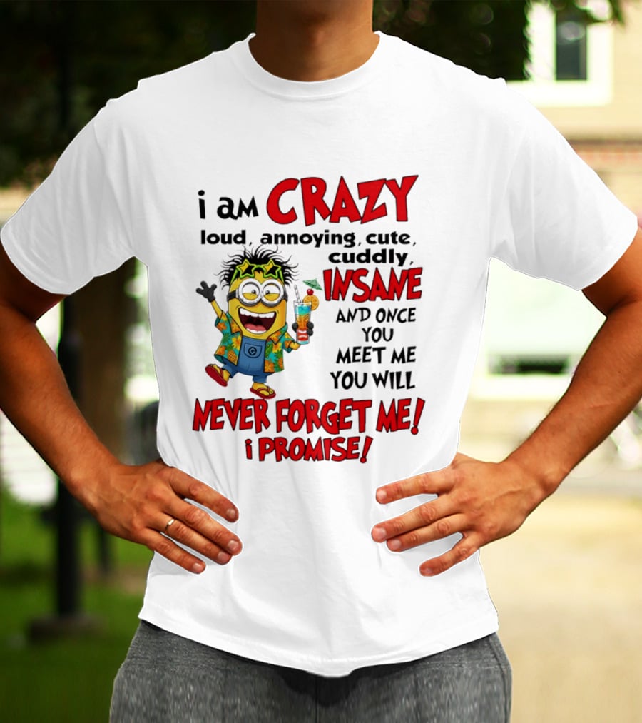 I Am Crazy Loud Annoying Cute Cuddly Insane Once You Meet Me Never Forget Promise T-Shirt