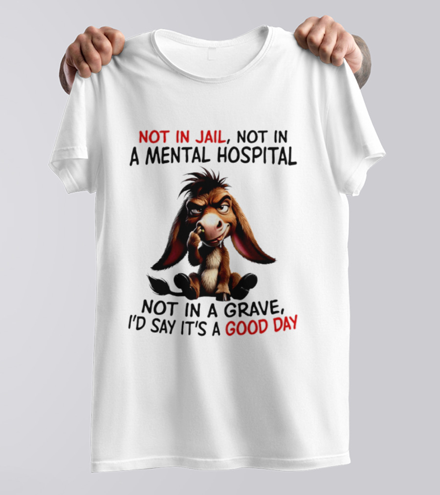 Donkey Not In Jail Not In A Mental Hospital Not In A Grave I'd Say It's A Good Day T-Shirt
