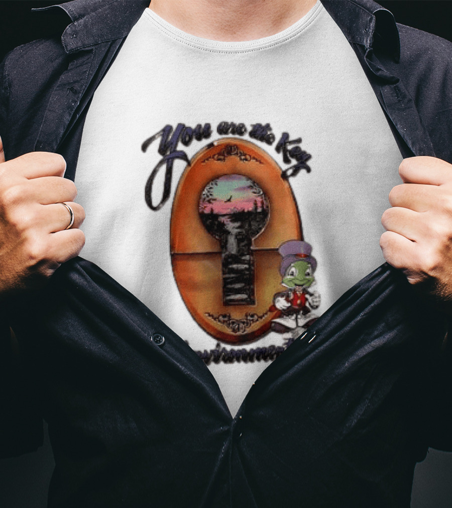 You Are The Key To Environmentality Keyhole Scene With Cartoon T-Shirt