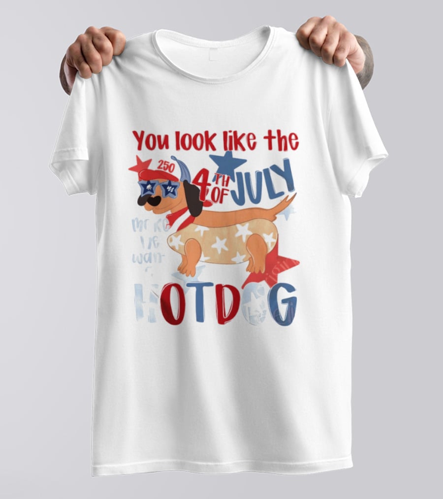 You Look Like The 4th Of July Make Me Want A Hotdog 2020 Dog Star Hat T-Shirt