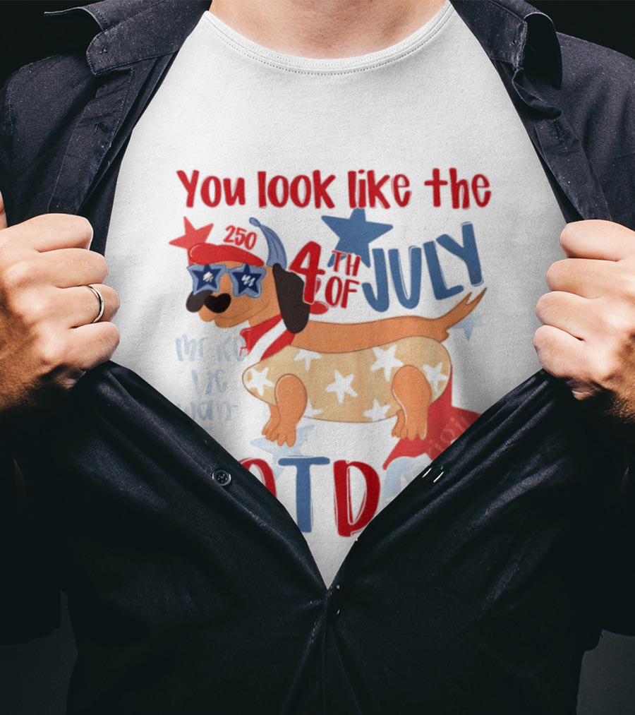 You Look Like The 4th Of July Make Me Want A Hotdog 2020 Dog Star Hat T-Shirt