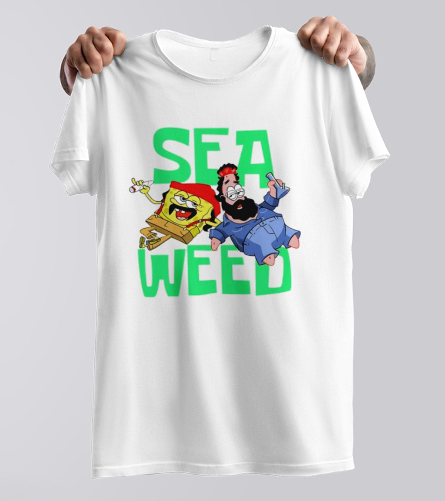 Sea Weed Sponge And Bearded Duo Cartoon Characters T-Shirt