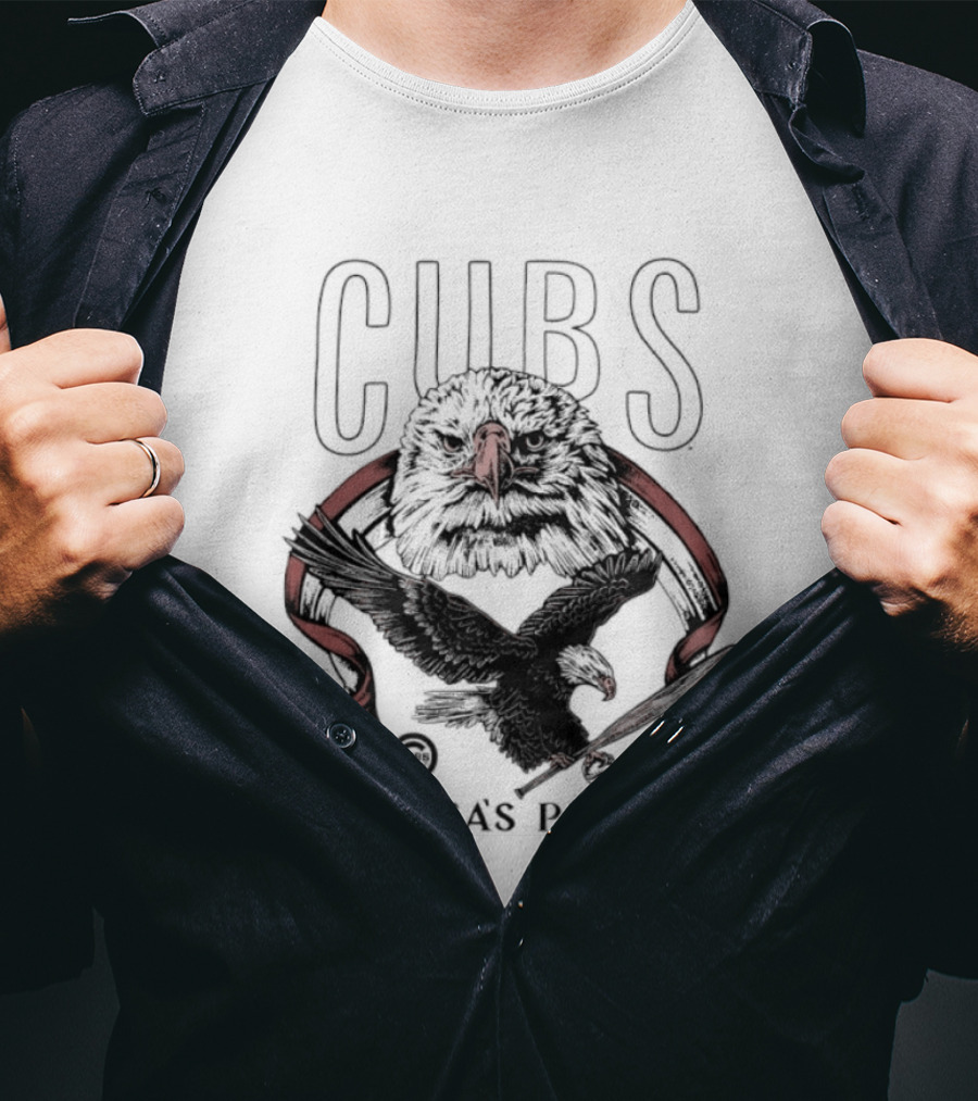 Chicago Cubs America's Pastime Bald Eagle Celebration 250th T-Shirt