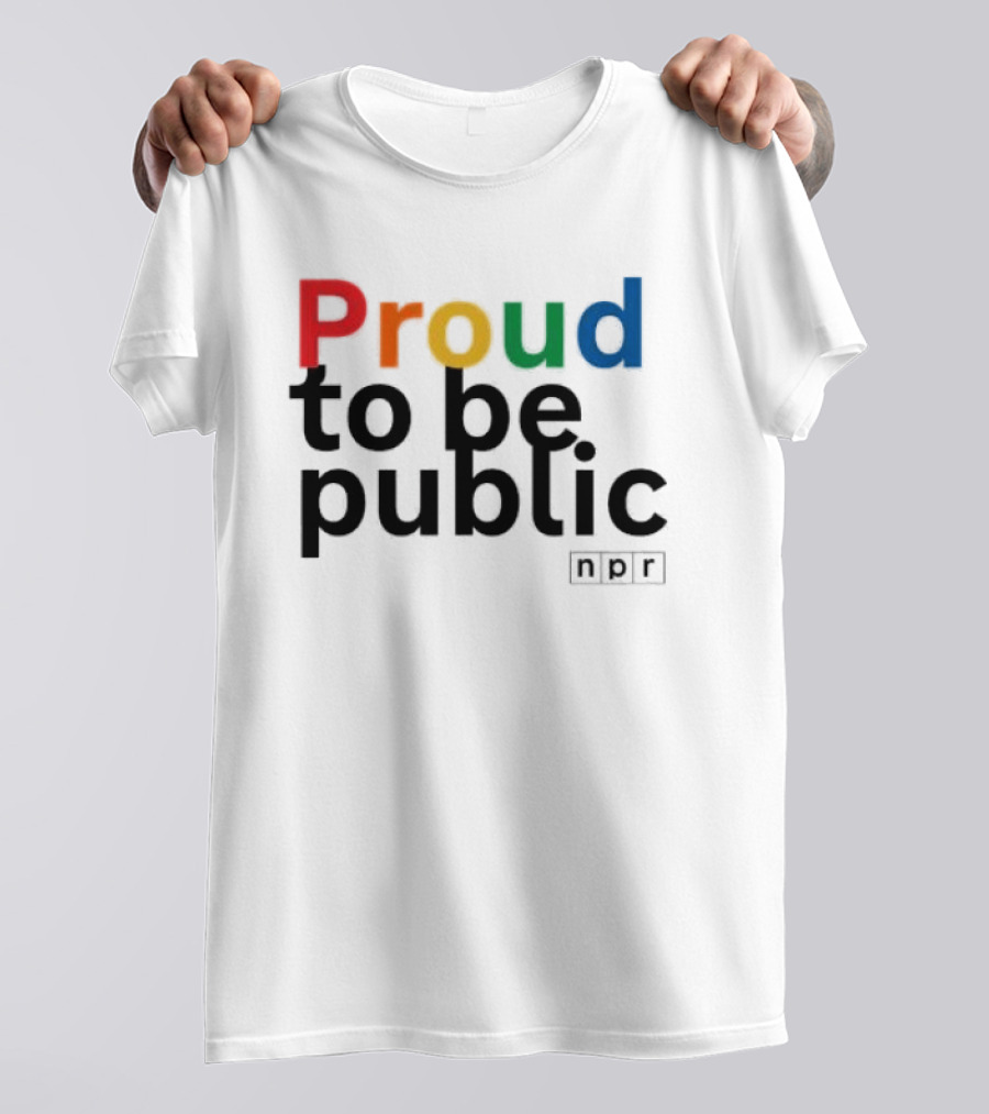 Proud To Be Public Colorful Pride T-Shirt