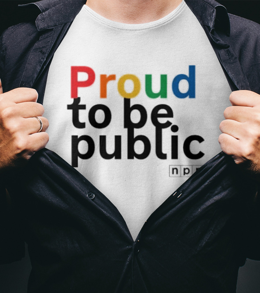 Proud To Be Public Colorful Pride T-Shirt