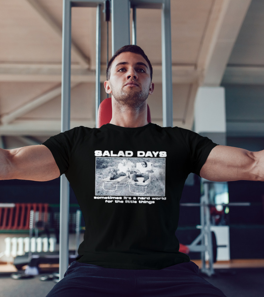 SALAD DAYS Sometimes It's A Hard World For The Little Things Vintage Lounge Chair Image T-Shirt