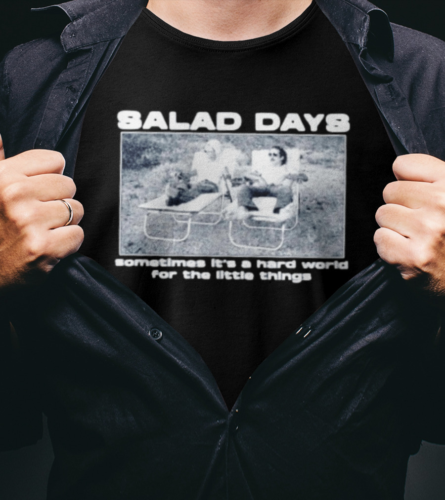 SALAD DAYS Sometimes It's A Hard World For The Little Things Vintage Lounge Chair Image T-Shirt