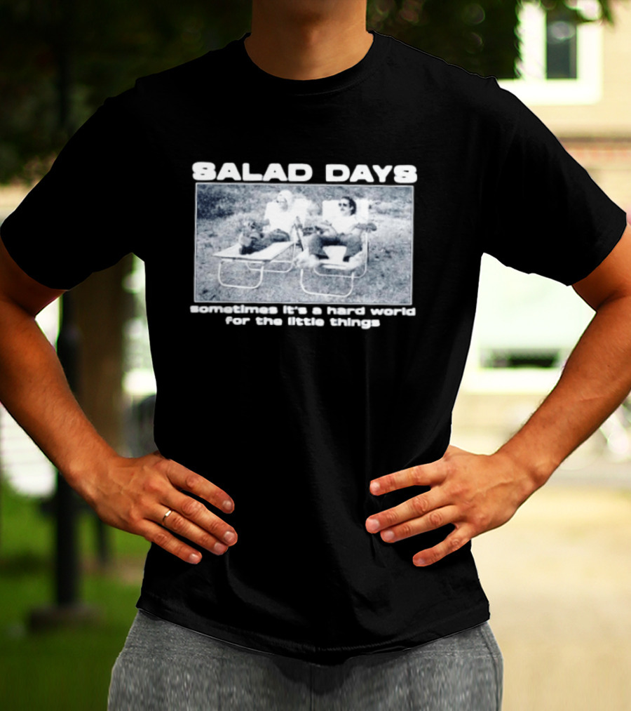 SALAD DAYS Sometimes It's A Hard World For The Little Things Vintage Lounge Chair Image T-Shirt