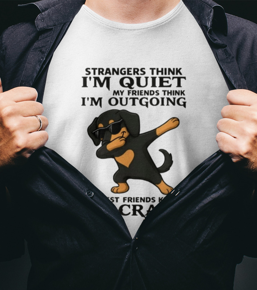 Strangers Think I'm Quiet Friends Think I'm Outgoing Best Friends Know I'm Crazy Dabbing Dachshund T-Shirt