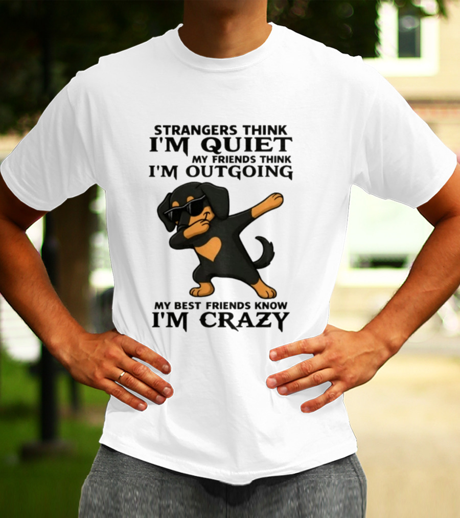 Strangers Think I'm Quiet Friends Think I'm Outgoing Best Friends Know I'm Crazy Dabbing Dachshund T-Shirt