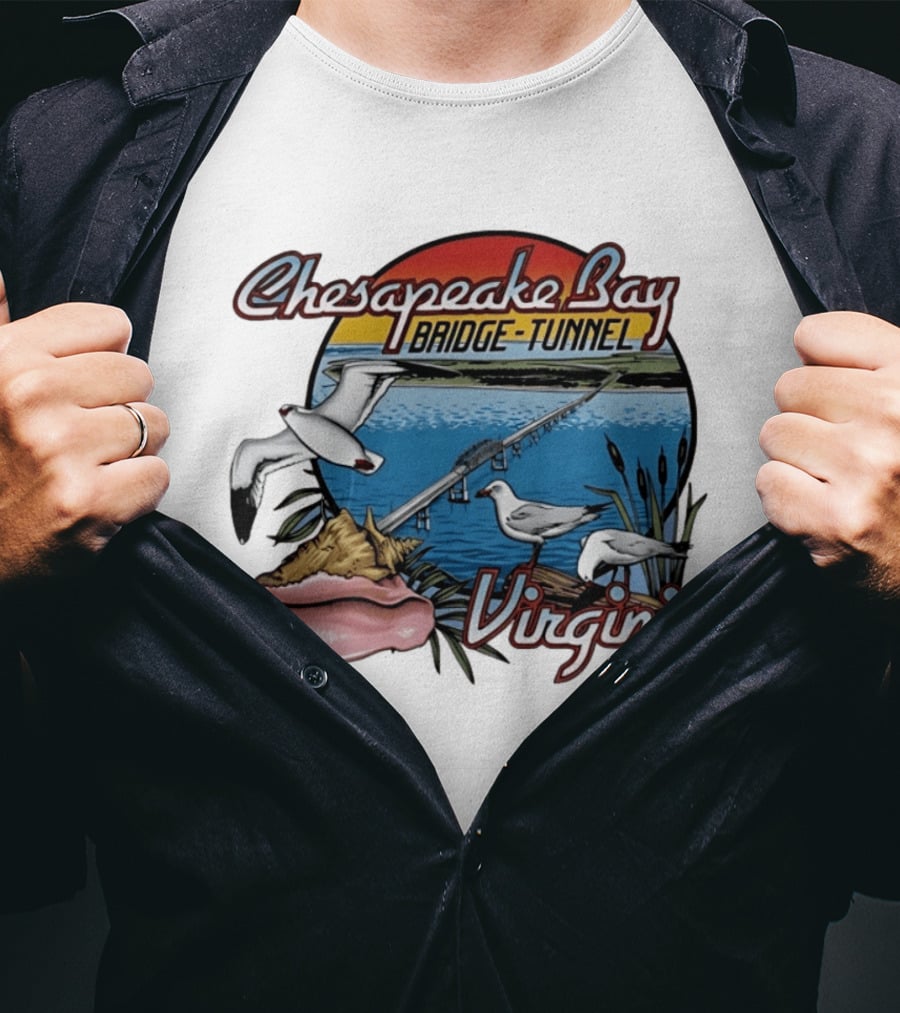 Chesapeake Bay Bridge Tunnel Virginia Seagulls Sunset Scene T-Shirt
