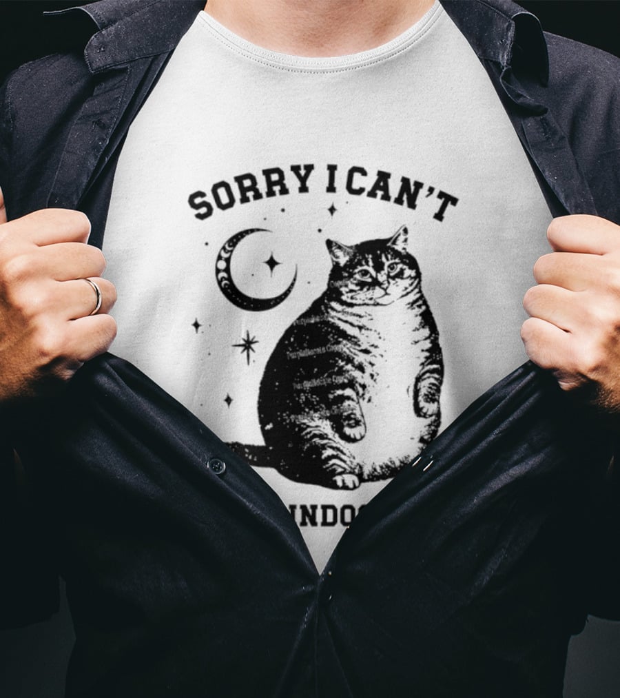 Sorry I Can't I'm An Indoor Cat Moon And Stars Fat Cat T-Shirt