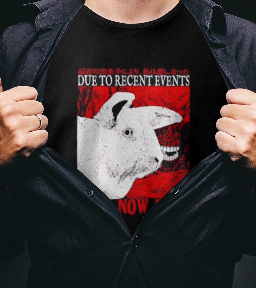 Rabbit Due To Recent Events I Am Now Evil Creepy Red T-Shirt