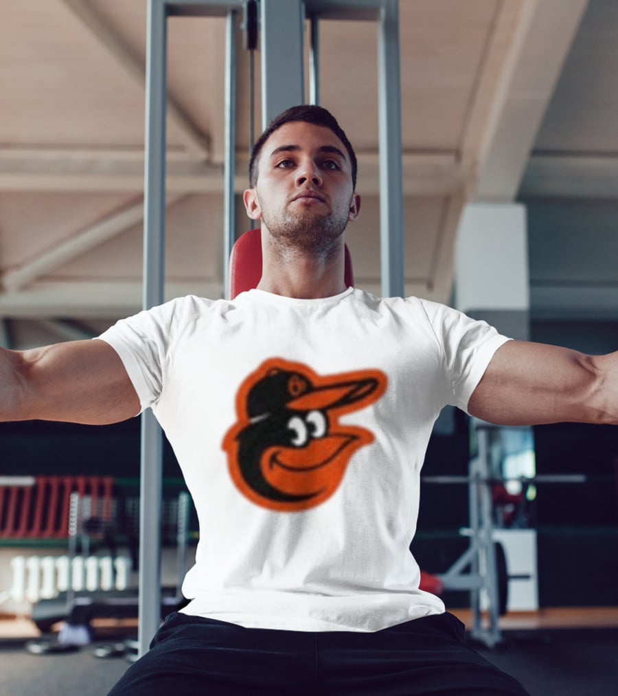 America 250 Years 1776 2026 Orioles Anniversary Celebration T-Shirt