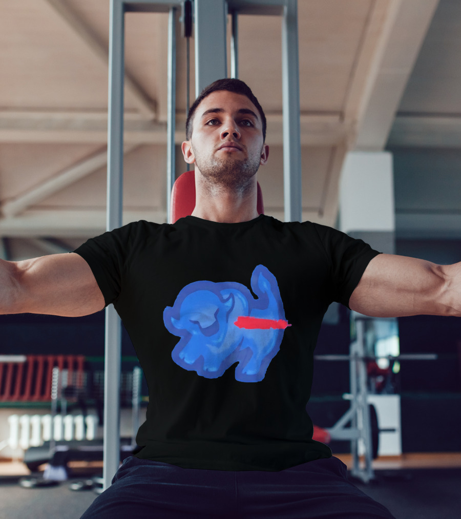 Bison King Buffalo Bills 2026 Football Team Spirit T-Shirt