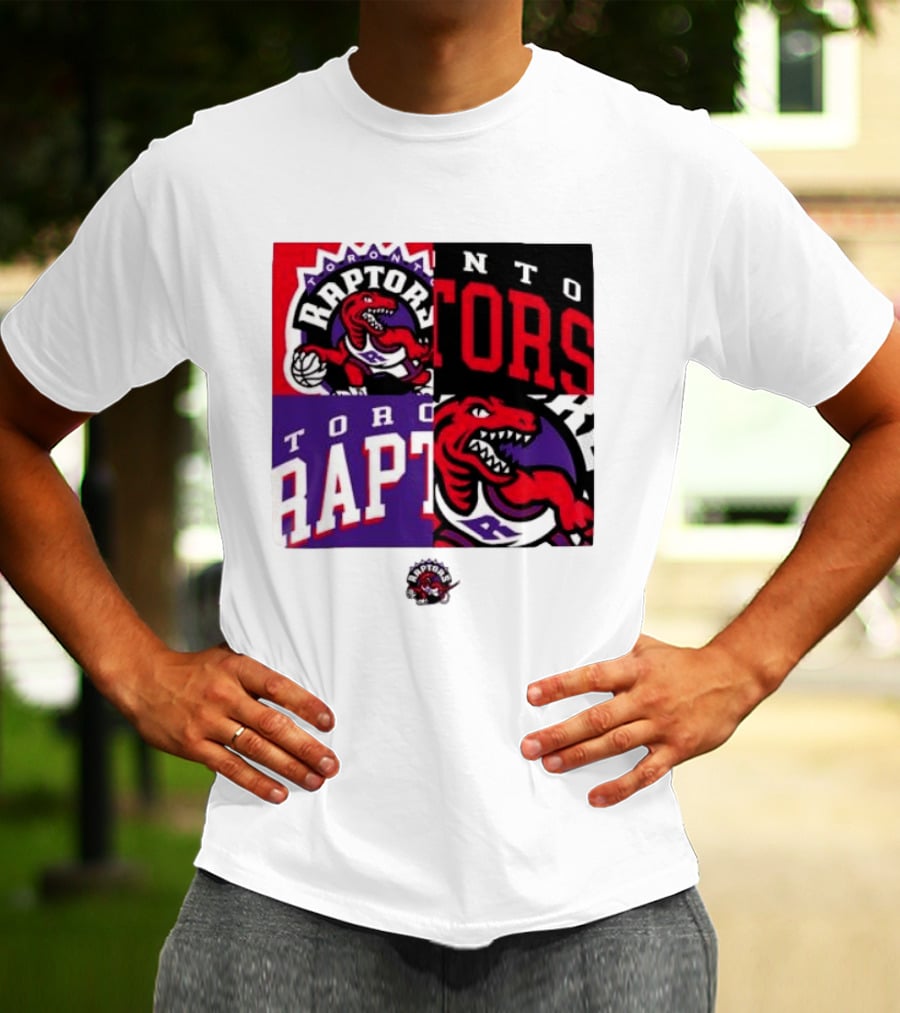 Toronto Raptors NBA Block Team Logo Graphic Raptors Basketball T-Shirt