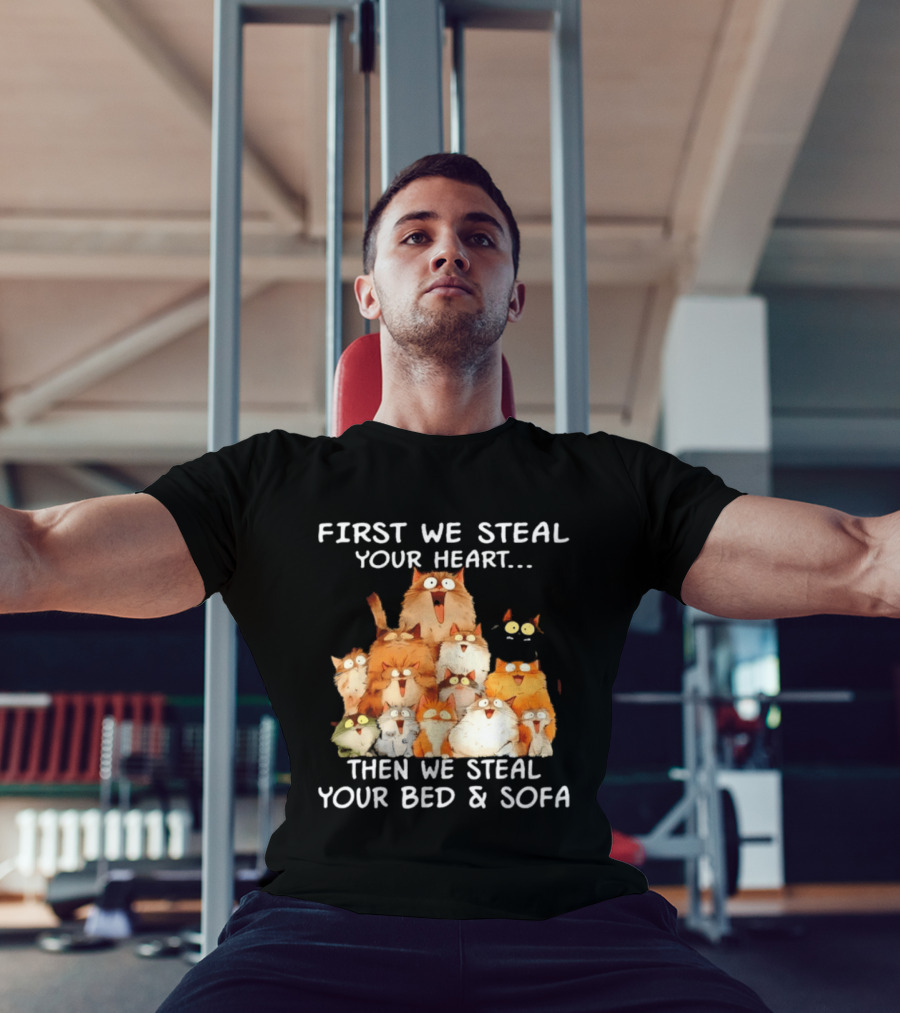 First We Steal Your Heart Then We Steal Your Bed And Sofa Cats Stack T-Shirt