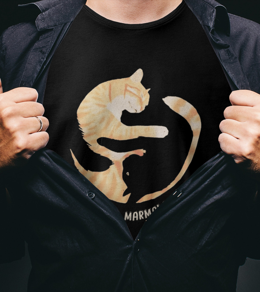 Cole And Marmalade Cats Yin Yang Pet Lovers Circle Harmony T-Shirt
