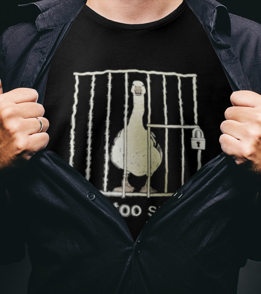 Goose Got Too Silly Jailbird Humor T-Shirt
