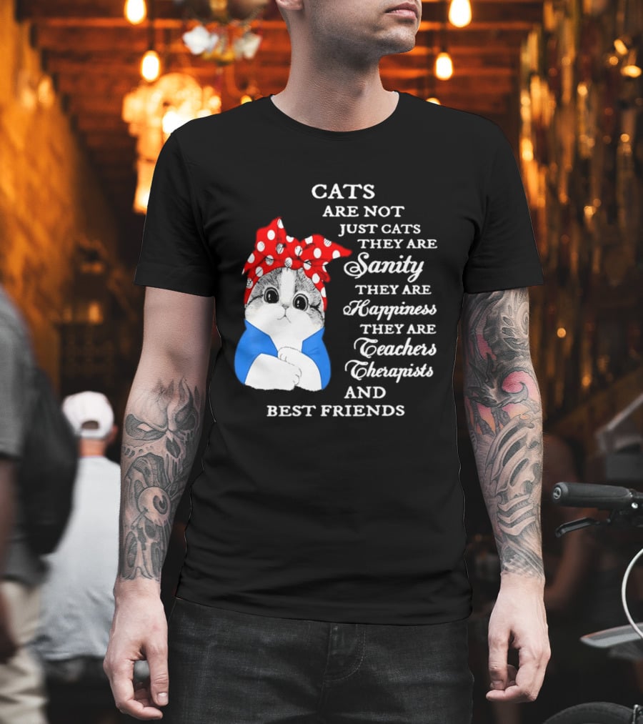 Cats Are Not Just Cats They Are Sanity Happiness Teachers Therapists Best Friends T-Shirt