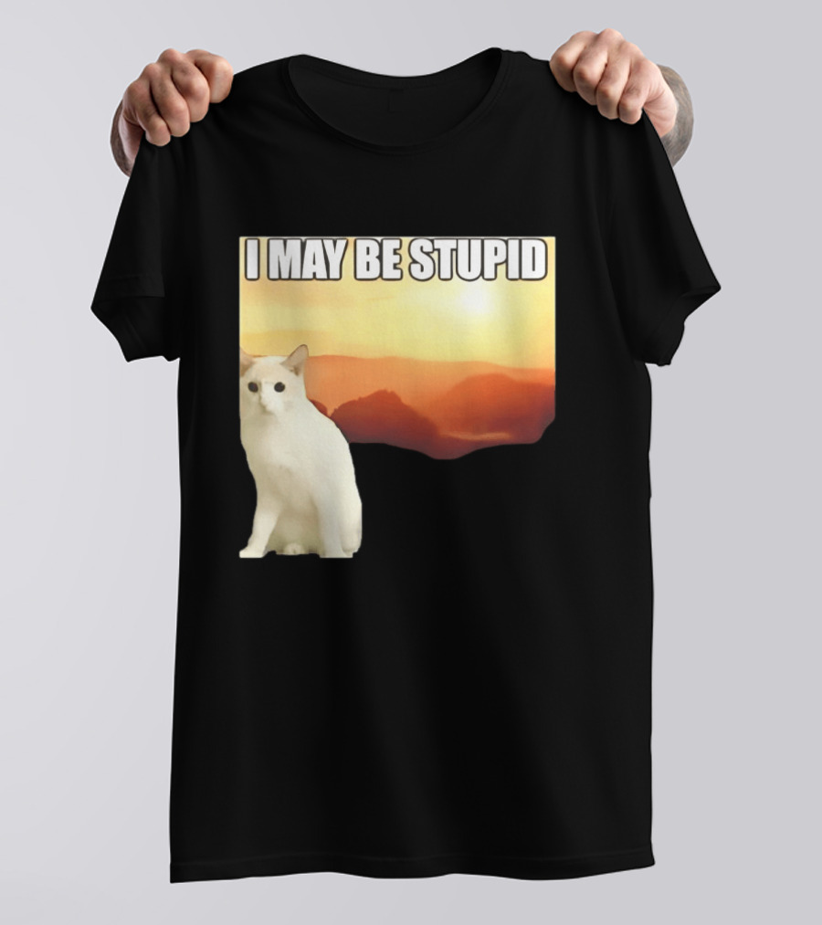 I May Be Stupid Cat With Sunrise T-Shirt