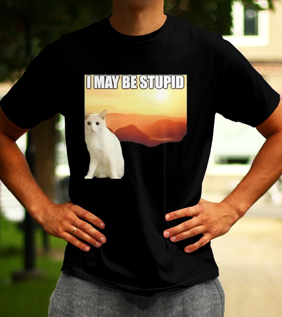 I May Be Stupid Cat With Sunrise T-Shirt