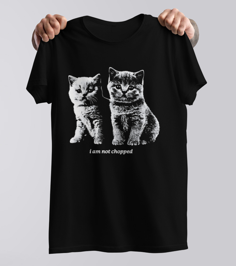 Jalen Brunson Karl Anthony Towns I Am Not Chopped Basketball Cats T-Shirt