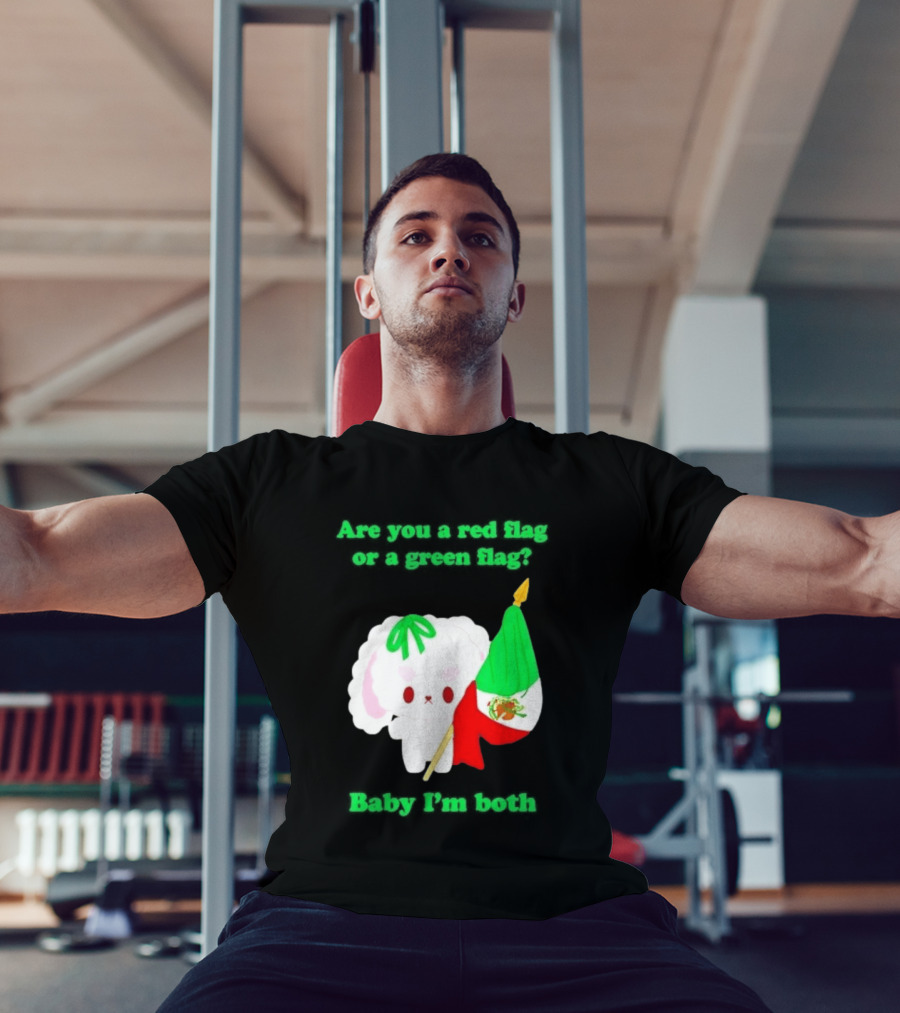Nonomochi Mexico Flag Are You A Red Flag Or A Green Flag Cute Bunny Holding Mexican Flag T-Shirt
