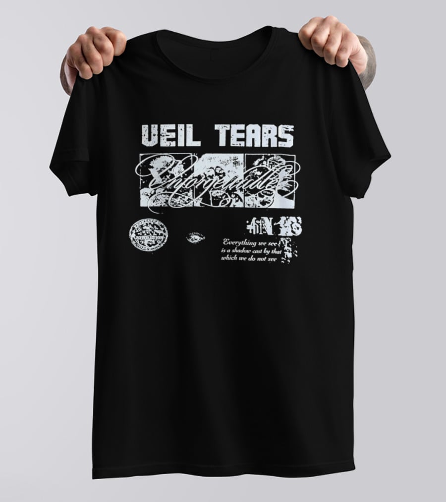 Veil Tears Unforgettable Everything We See Is A Shadow Cast By That Which We Do Not See T-Shirt