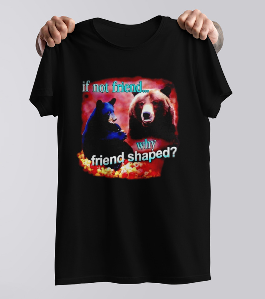 If Not Friend Why Friend Shaped Bear With Two Bears T-Shirt