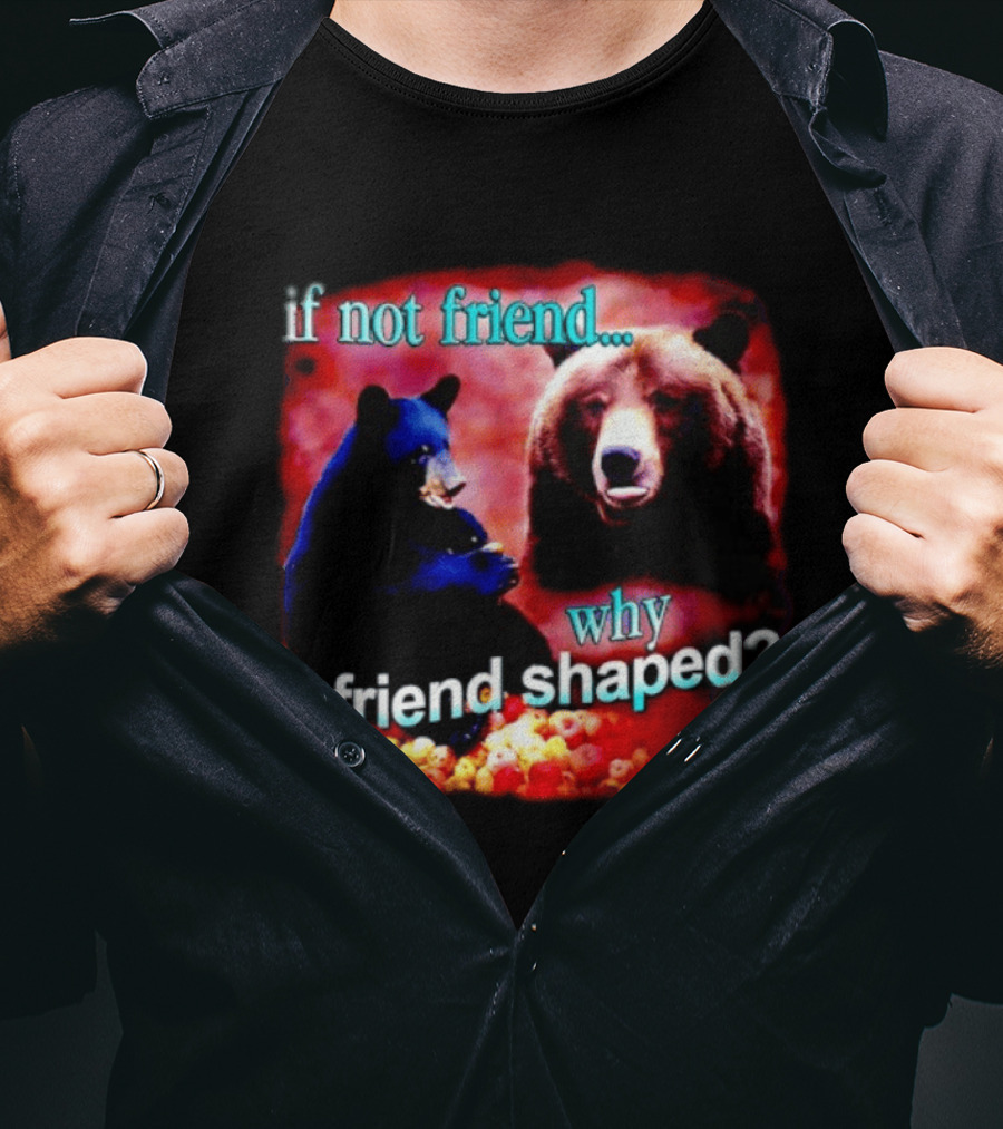 If Not Friend Why Friend Shaped Bear With Two Bears T-Shirt