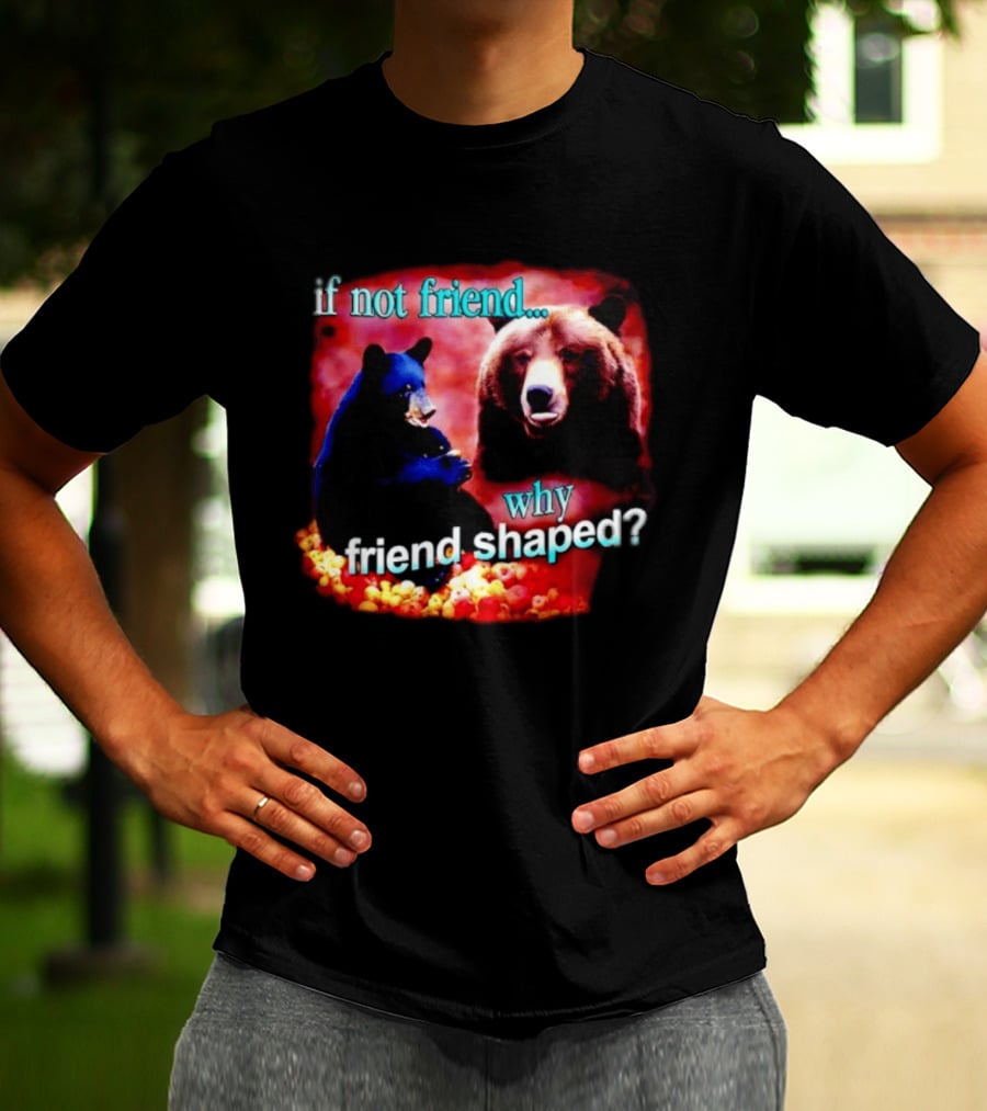 If Not Friend Why Friend Shaped Bear With Two Bears T-Shirt