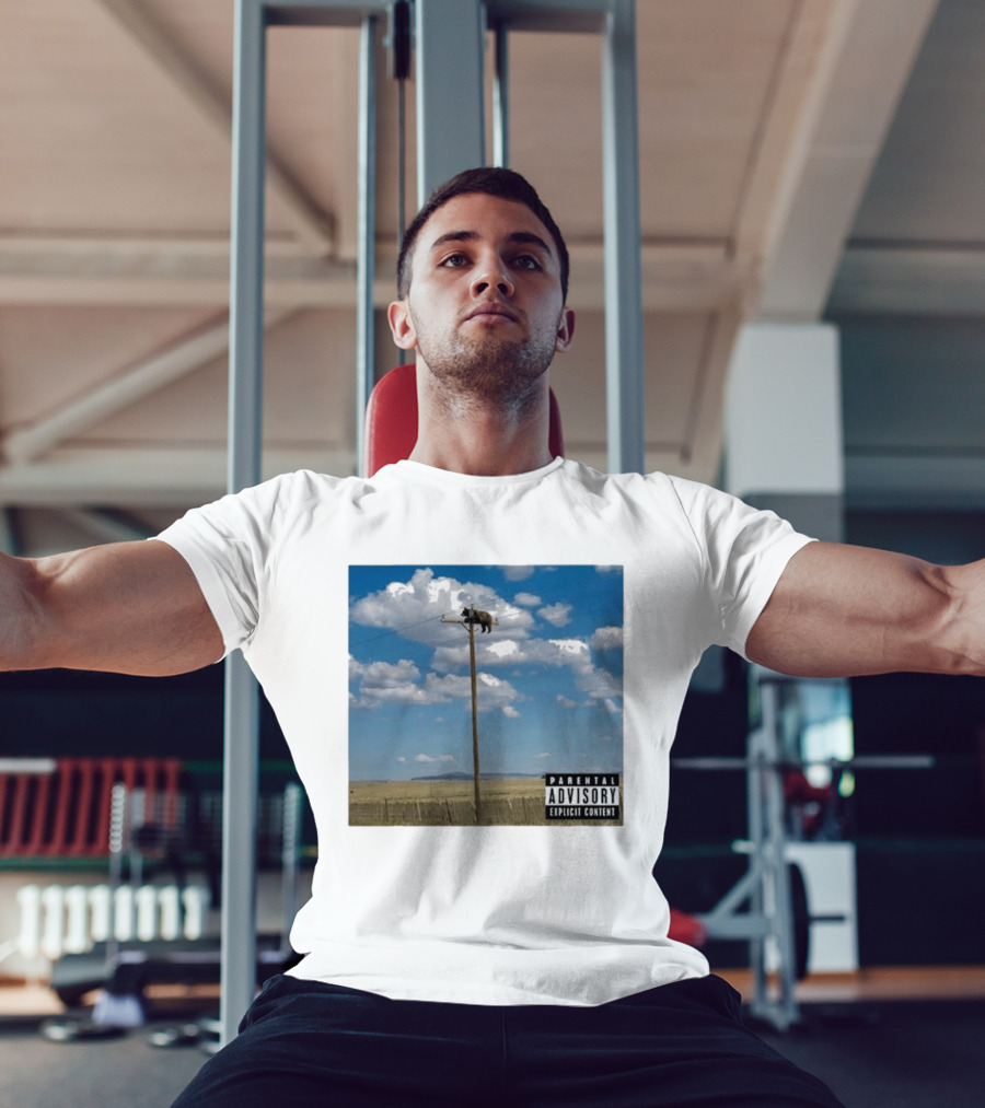 Bear On Top Of The Light Pole Parental Advisory Explicit Content Clouds Sky T-Shirt