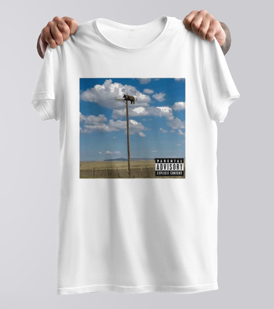 Bear On Top Of The Light Pole Parental Advisory Explicit Content Clouds Sky T-Shirt