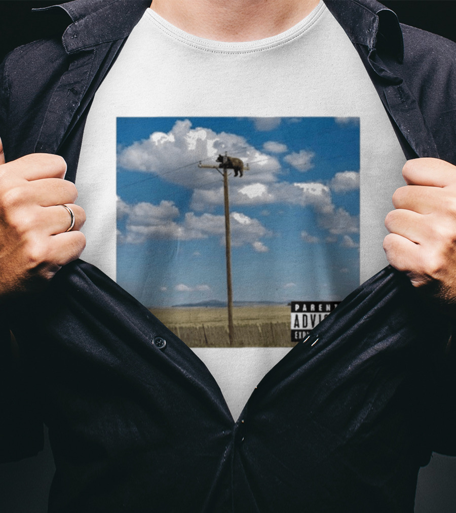 Bear On Top Of The Light Pole Parental Advisory Explicit Content Clouds Sky T-Shirt