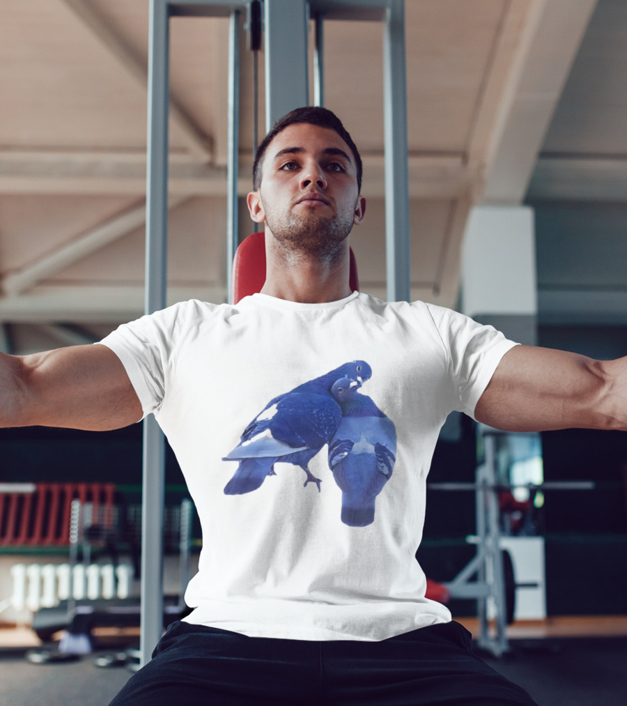 Love Doves Sports Banger Blue Pigeons Embrace T-Shirt