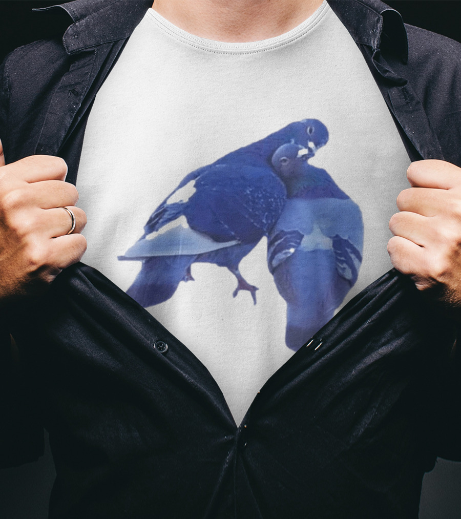 Love Doves Sports Banger Blue Pigeons Embrace T-Shirt